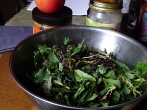 Kale Salad - The Veggie Queen