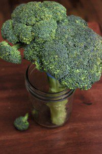 Broccoli - The Veggie Queen