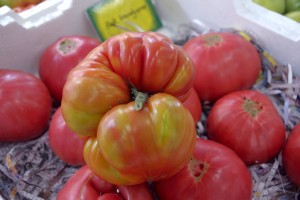 Heirloom Tomato - The Veggie Queen