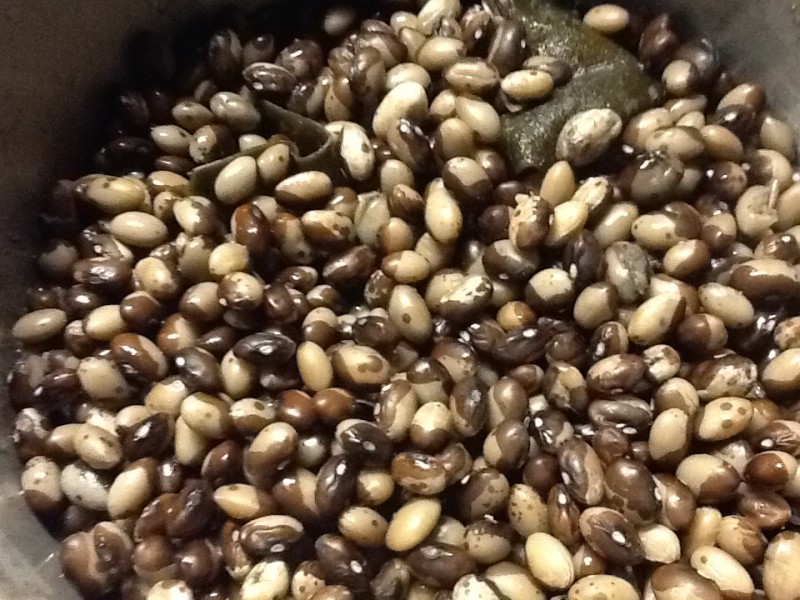 Ranch Gordo Calypso Beans Soaked Overnight